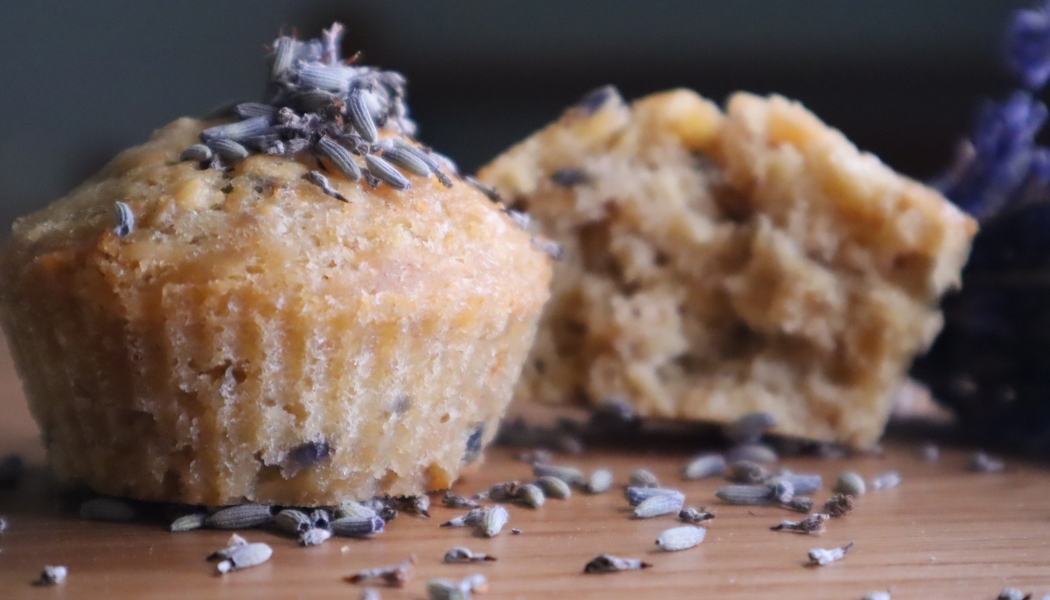 Banner-Kueche-backen