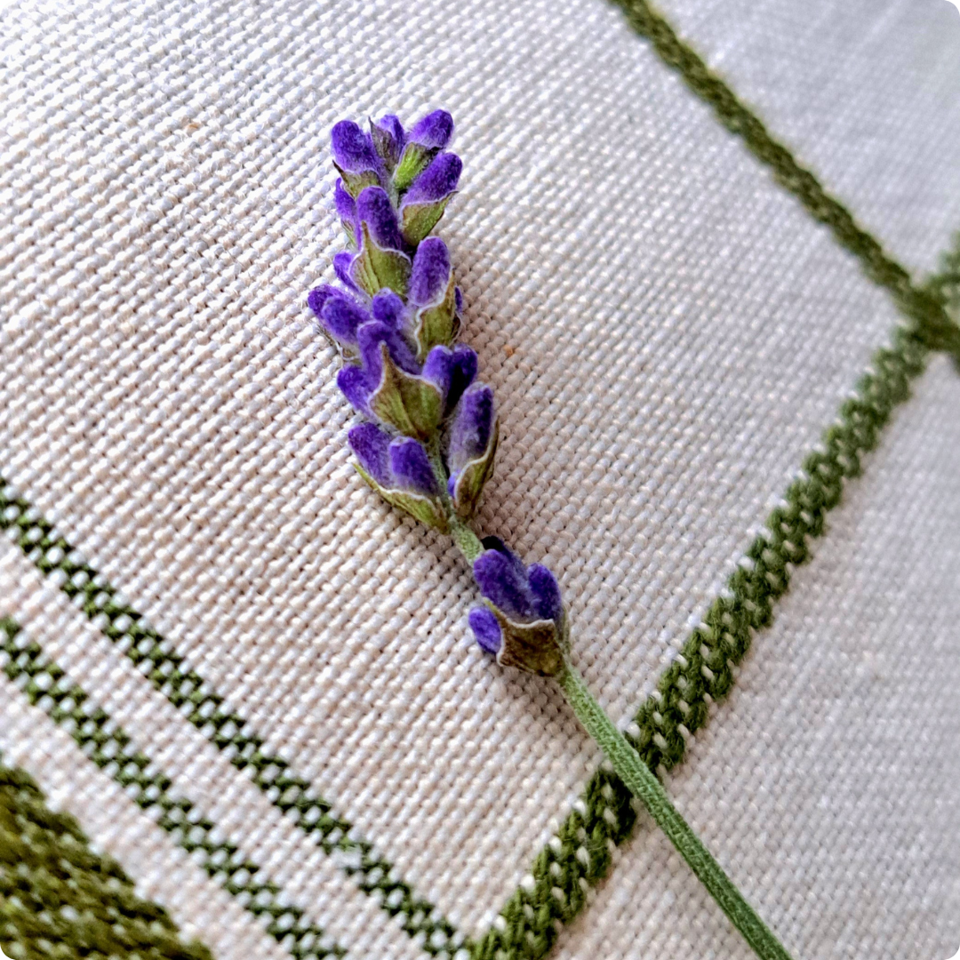 Lavendel-Dolde